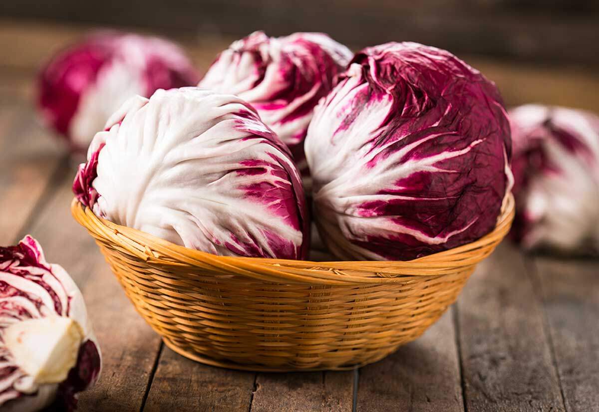 Radicchio